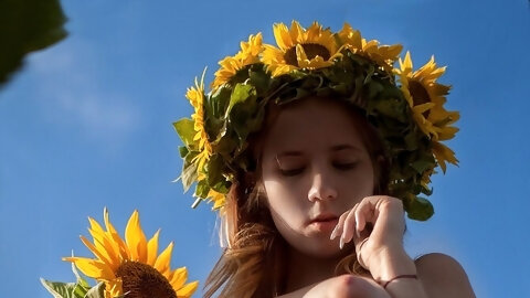 Puffies And Sunflowers