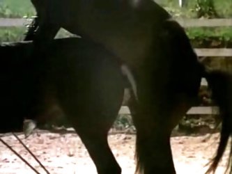 Karina, Objeto Do Prazer